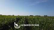 Fazenda a 170 klm de punta del este uruguai